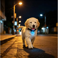 Localizador GPS para Mascotas – Compatible con iPhone (Apple Find My)