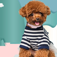 Localizador GPS para Mascotas – Compatible con iPhone (Apple Find My)